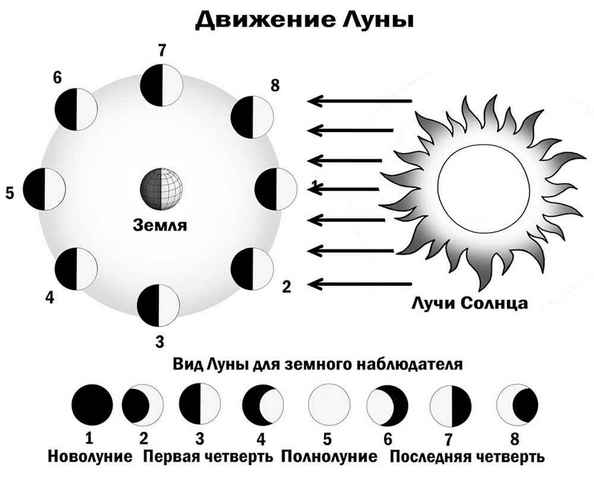 схема движения луны